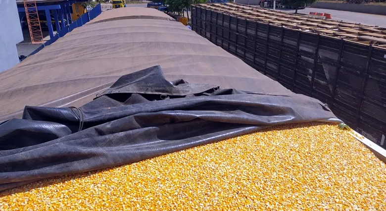 Polícia Civil de Balsas Prende Suspeito de Furto de 80 Toneladas de Milho