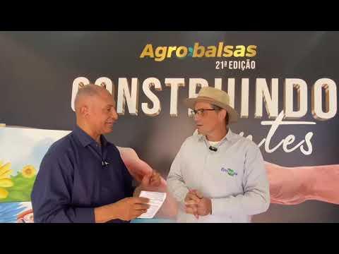 Embrapa palestra na Agrobalsas e destaca, a usina de etanol agora tem interesse no sorgo, vamos melhorar o manejo